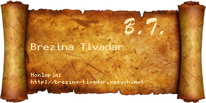 Brezina Tivadar névjegykártya
