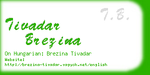 tivadar brezina business card